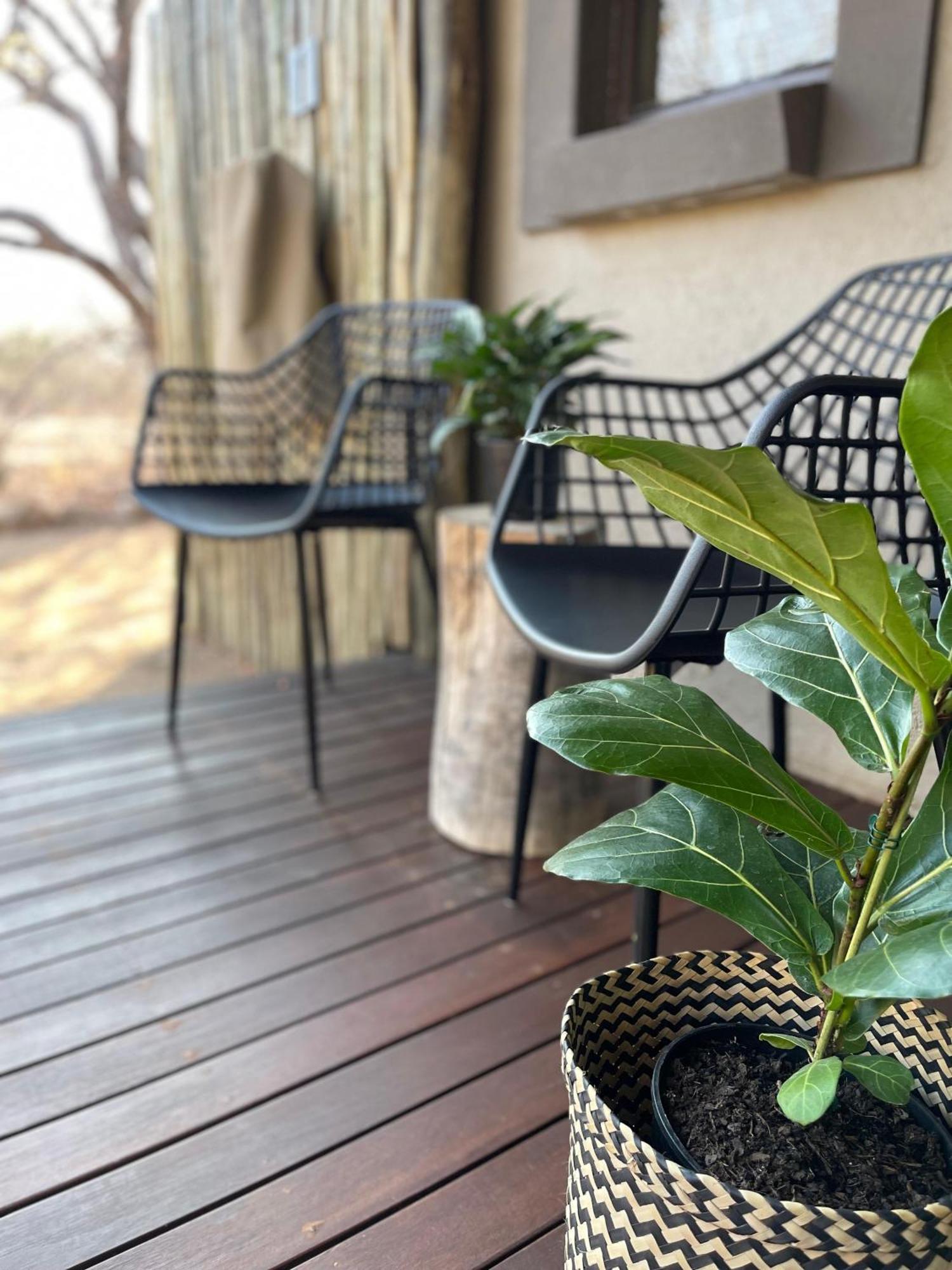 הודספרויט The Baobab Bush Lodge And Villa מראה חיצוני תמונה