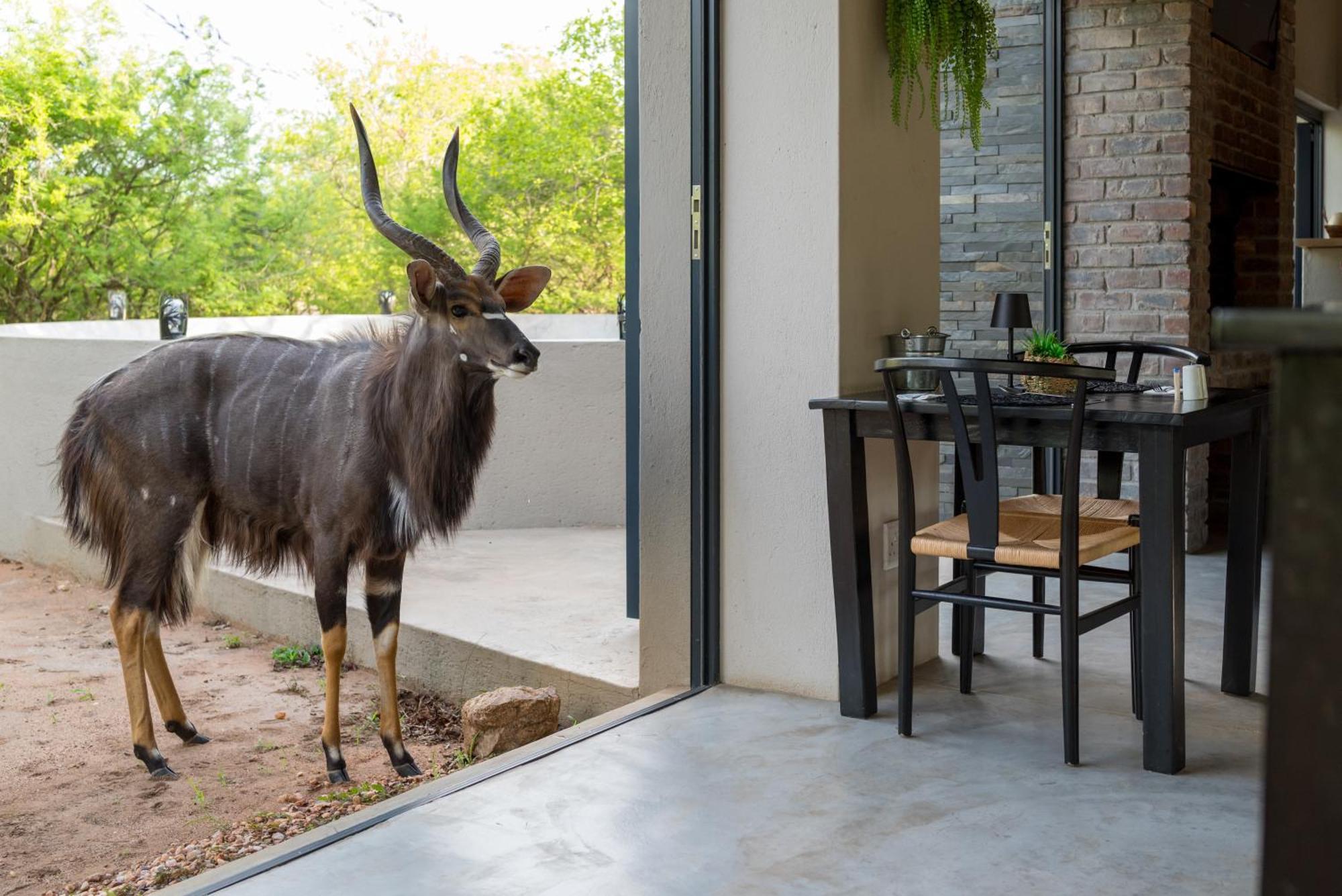 הודספרויט The Baobab Bush Lodge And Villa מראה חיצוני תמונה